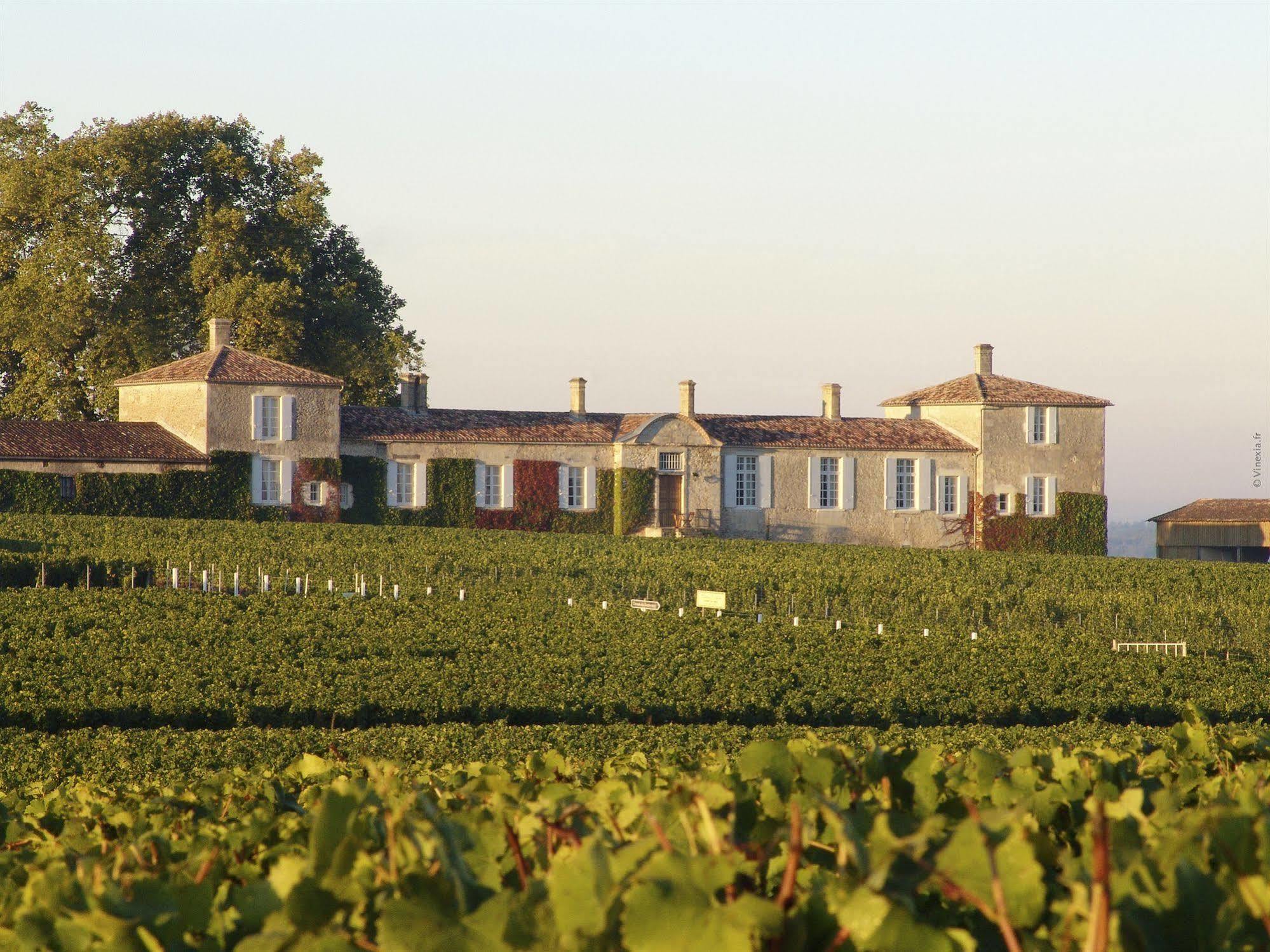 Chateau D'Arche, Grand Cru Classe De Sauternes Exteriér fotografie
